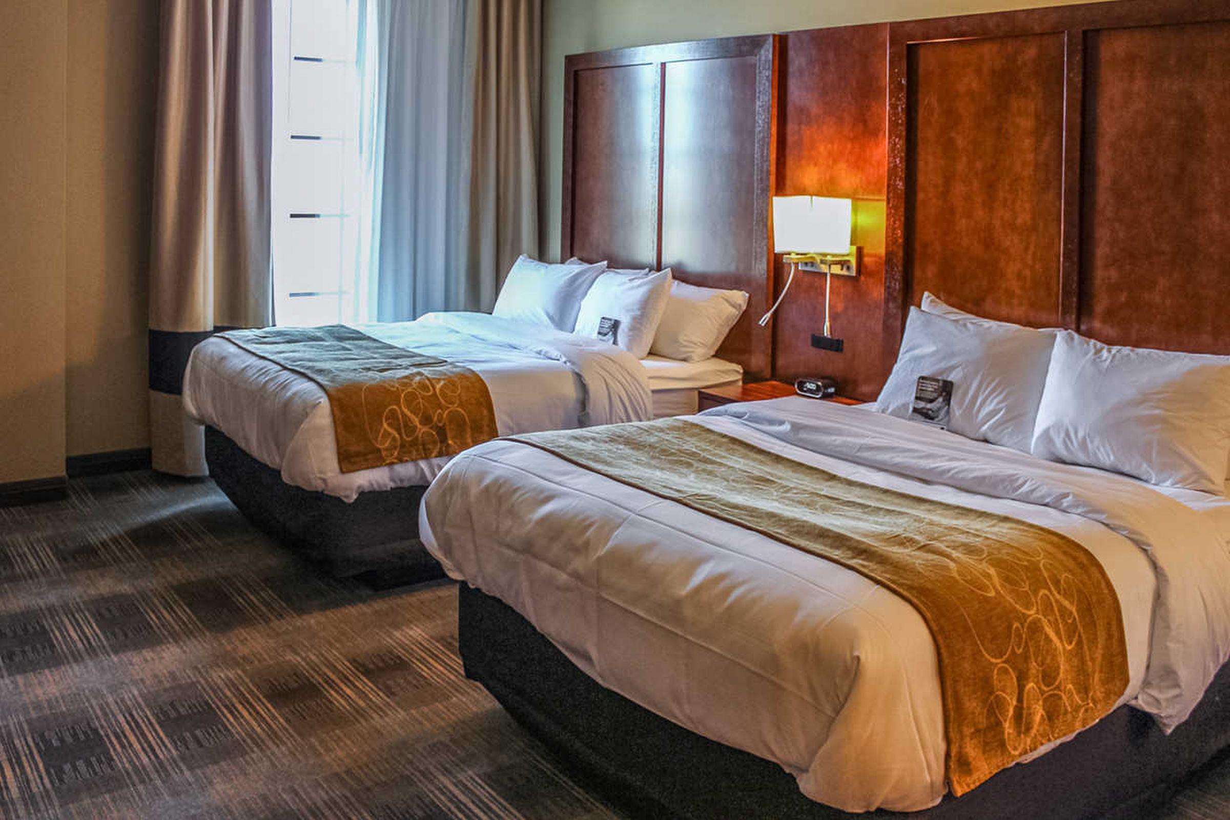 Comfort Suites University ברוקינגס מראה חיצוני תמונה