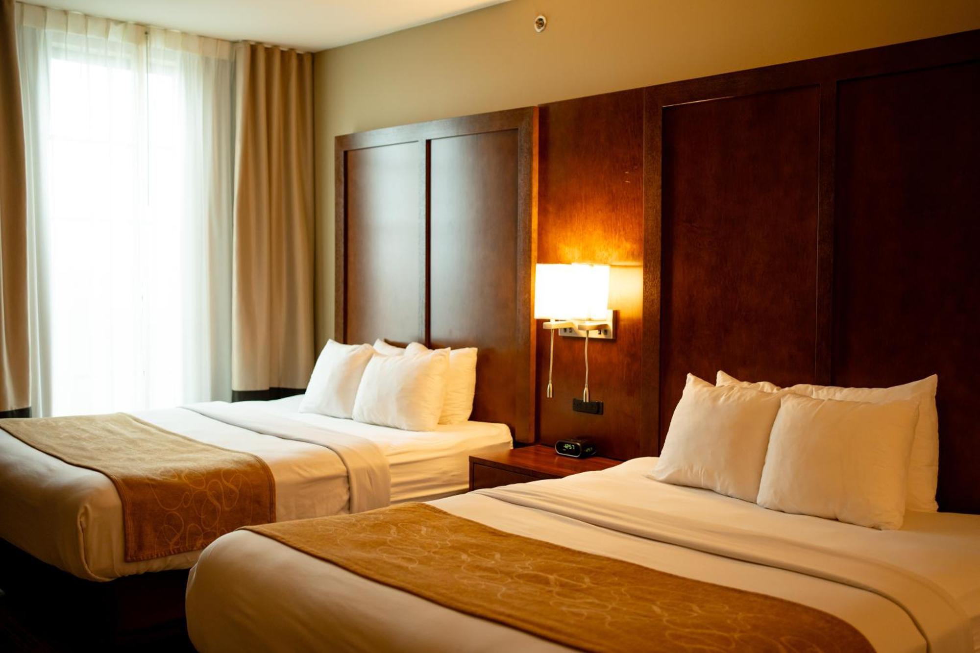 Comfort Suites University ברוקינגס מראה חיצוני תמונה